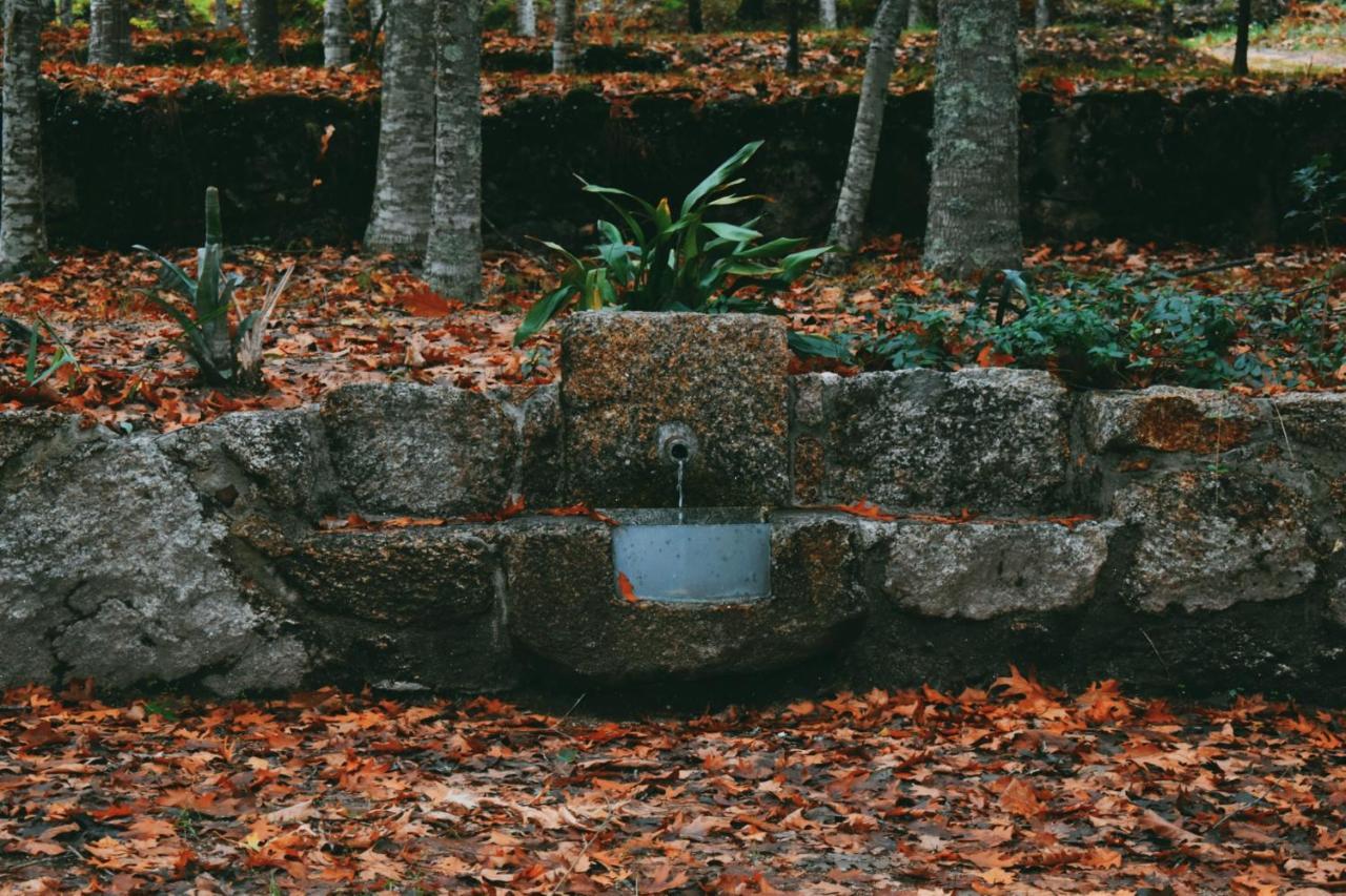 Quinta Das Fontes - Alojamento Rustico Local E Turismo Rural São Pedro do Sul Eksteriør bilde