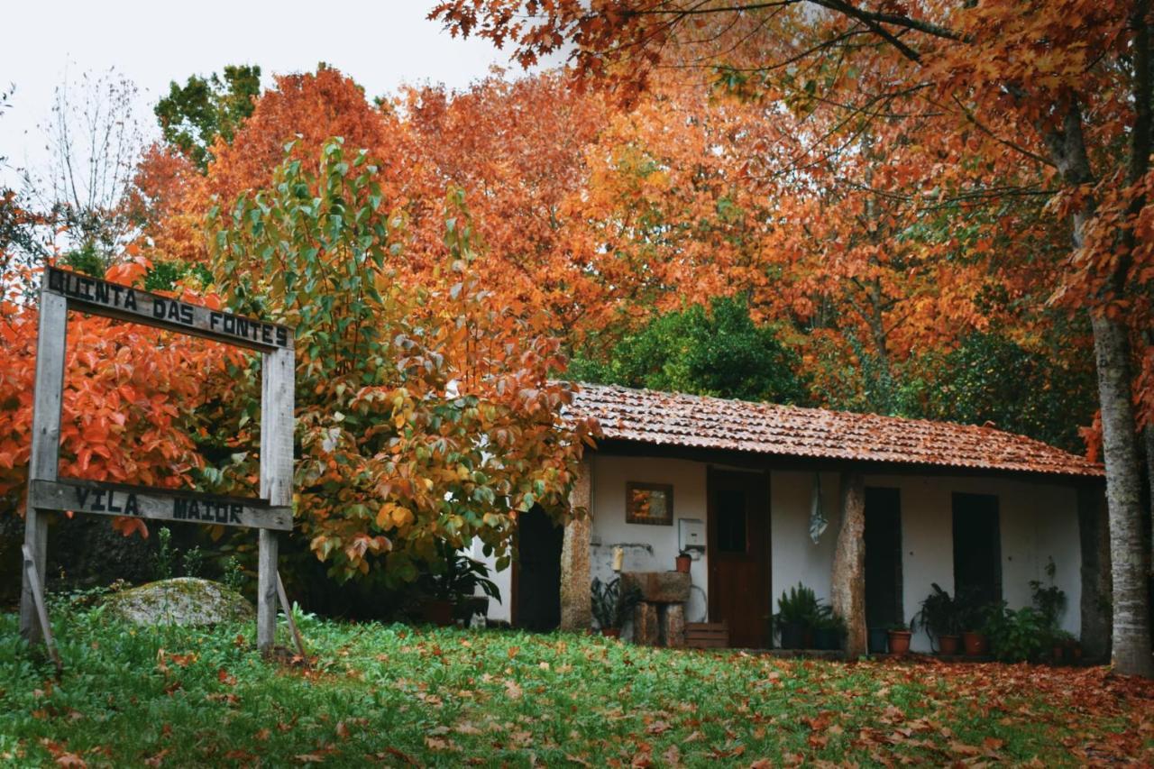 Quinta Das Fontes - Alojamento Rustico Local E Turismo Rural São Pedro do Sul Eksteriør bilde