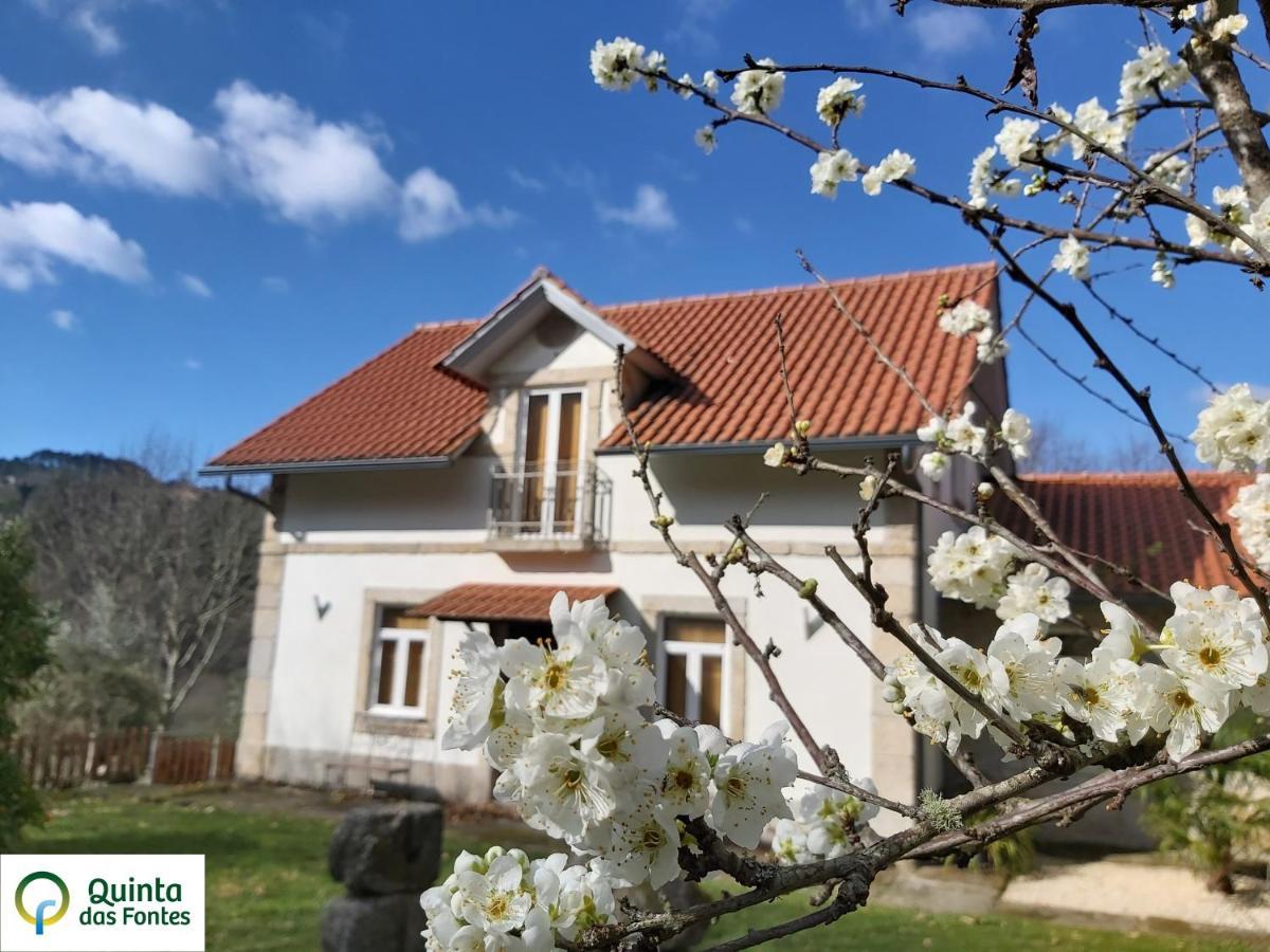 Quinta Das Fontes - Alojamento Rustico Local E Turismo Rural São Pedro do Sul Eksteriør bilde