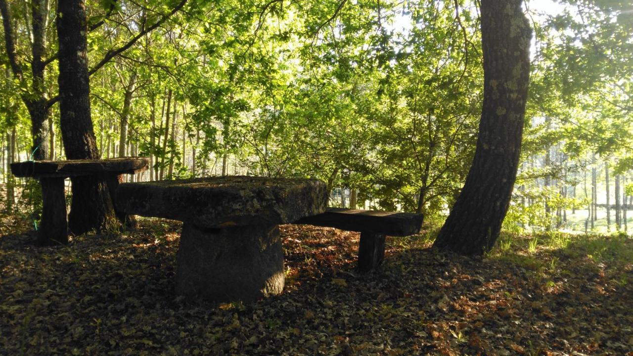 Quinta Das Fontes - Alojamento Rustico Local E Turismo Rural São Pedro do Sul Eksteriør bilde