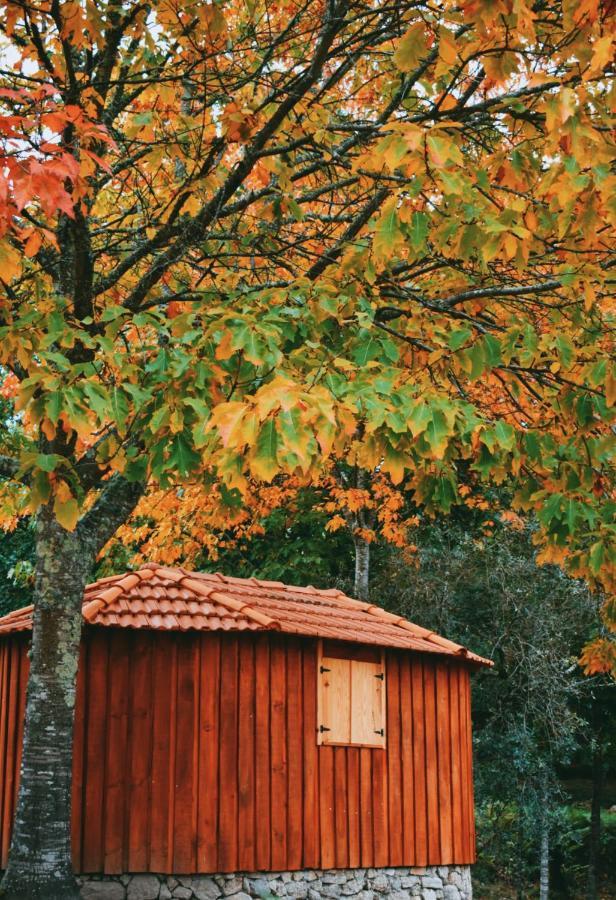 Quinta Das Fontes - Alojamento Rustico Local E Turismo Rural São Pedro do Sul Eksteriør bilde