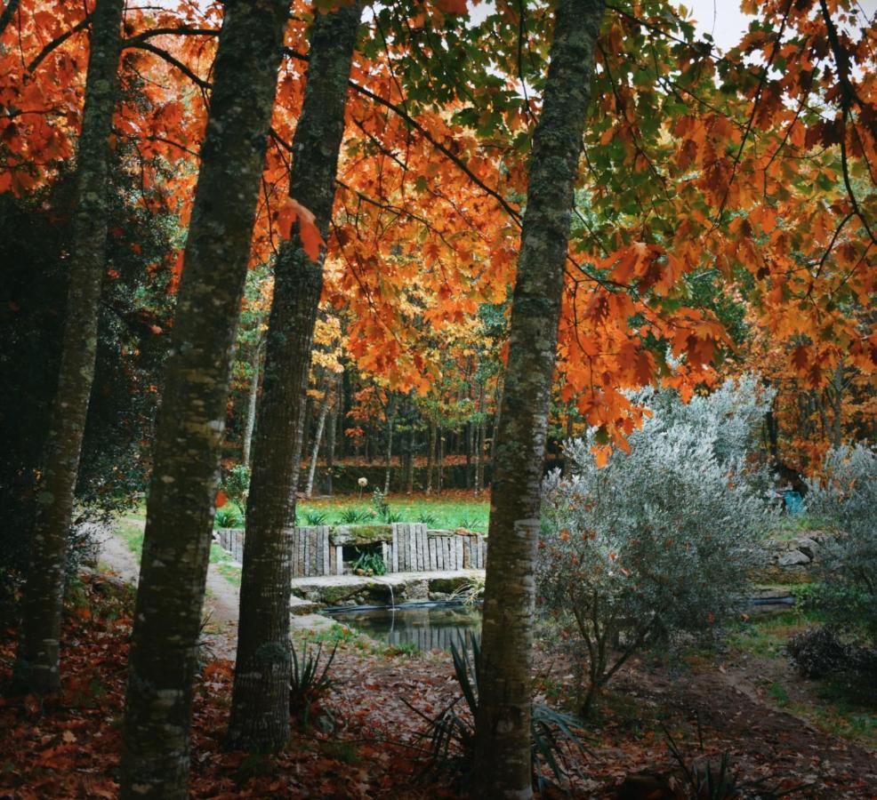 Quinta Das Fontes - Alojamento Rustico Local E Turismo Rural São Pedro do Sul Eksteriør bilde