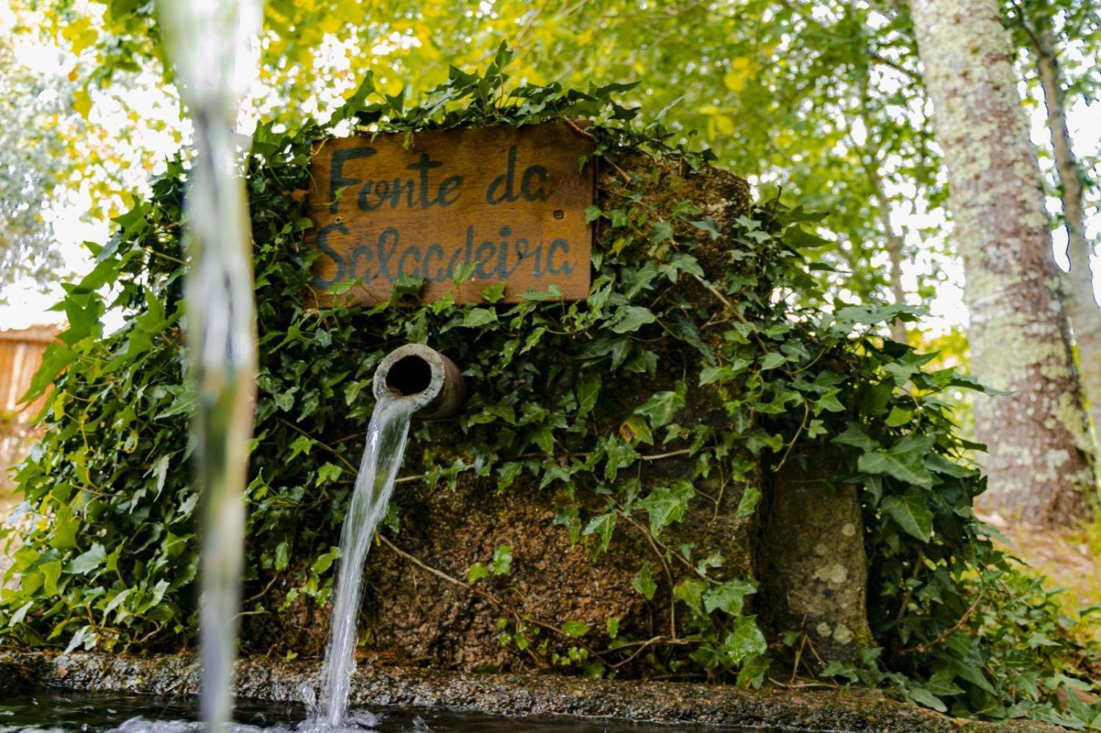 Quinta Das Fontes - Alojamento Rustico Local E Turismo Rural São Pedro do Sul Eksteriør bilde