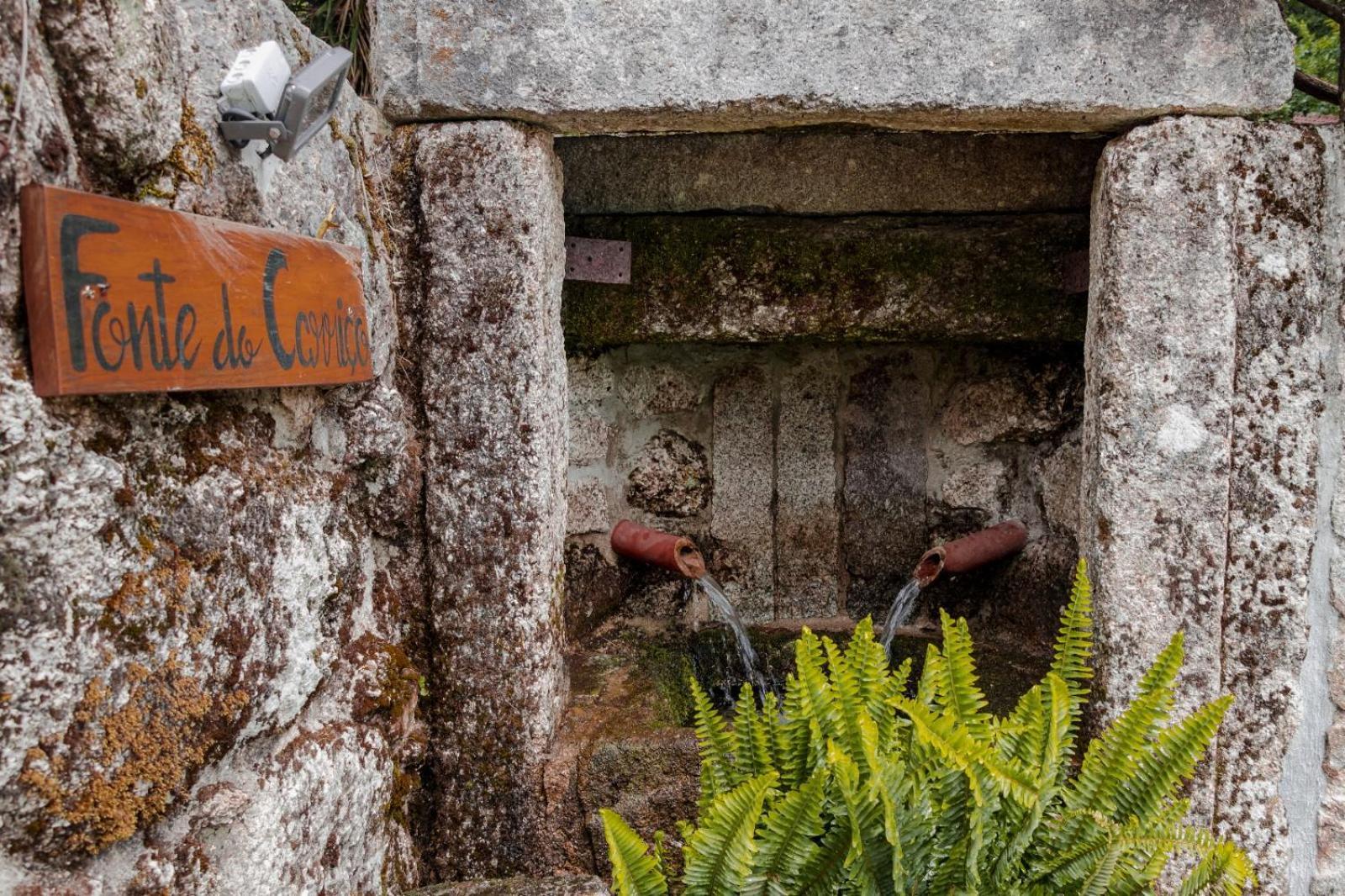 Quinta Das Fontes - Alojamento Rustico Local E Turismo Rural São Pedro do Sul Eksteriør bilde