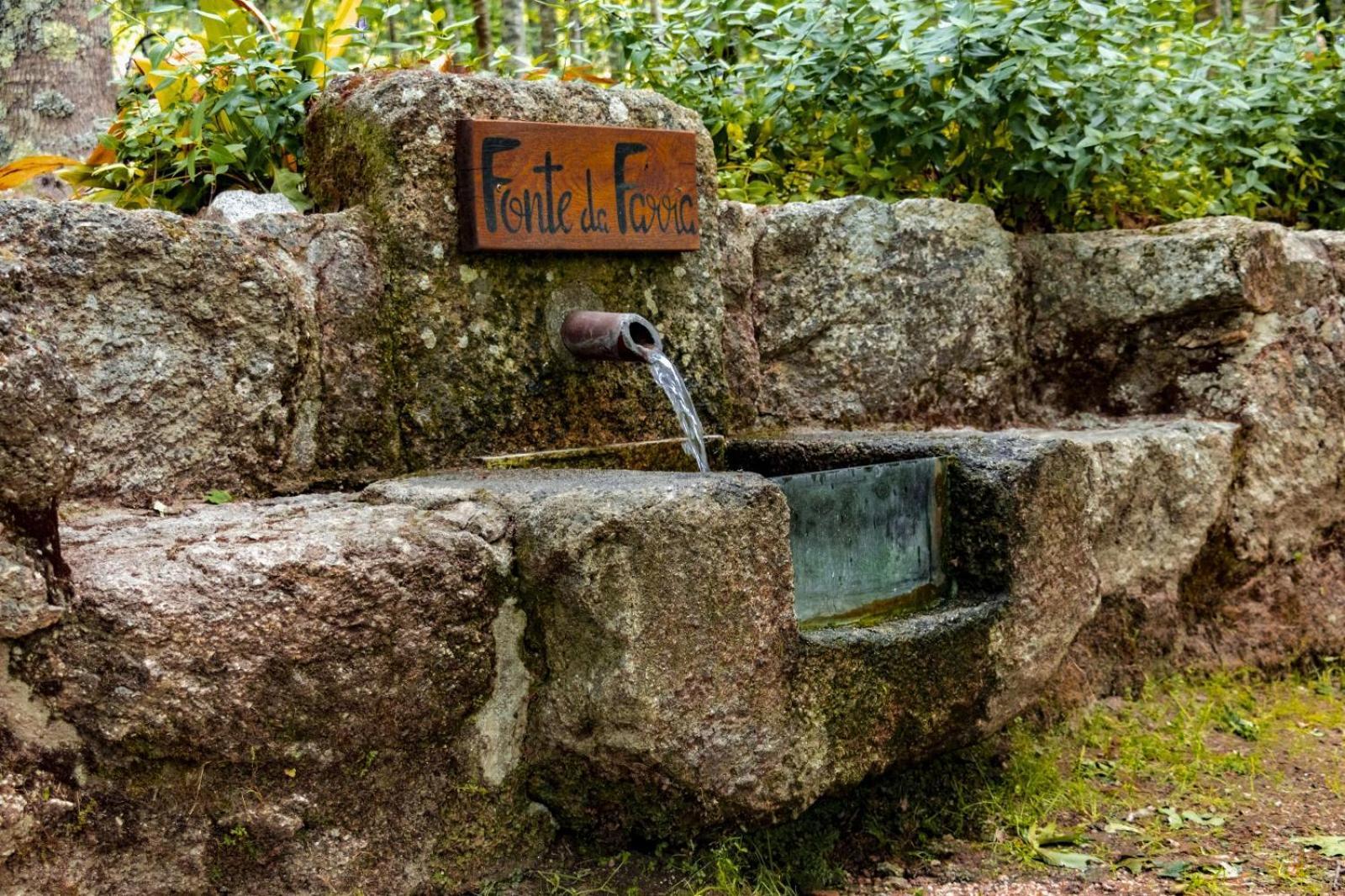Quinta Das Fontes - Alojamento Rustico Local E Turismo Rural São Pedro do Sul Eksteriør bilde